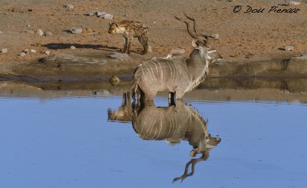 Drama reflected in the water...