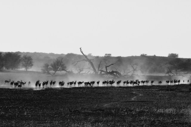 DJP12-8-17B&amp;WWM-11