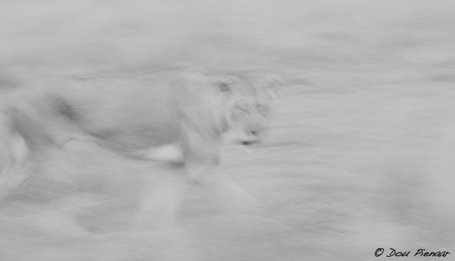 DJP12-8-17B&amp;WWM-3