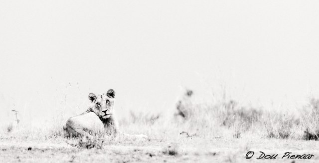 DJP12-8-17B&amp;WWM-4