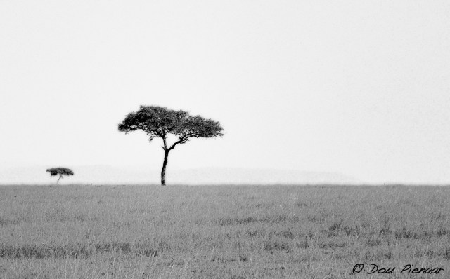 DJP15-8-17B&amp;WWM-1