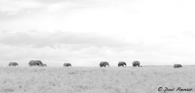 DJP23-8-17B&amp;WWM-10