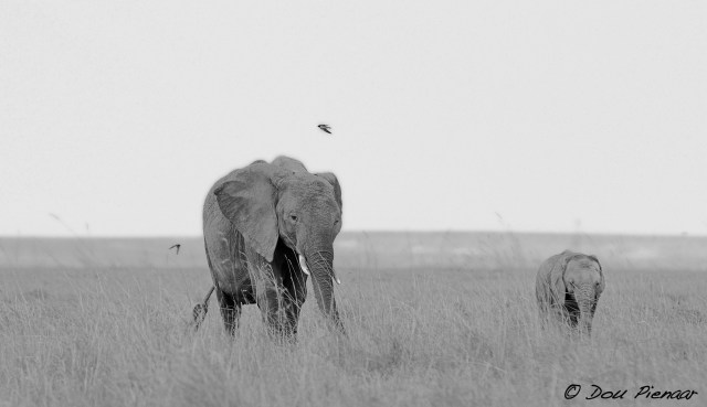 DJP23-8-17B&amp;WWM-11