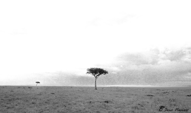 DJP23-8-17B&amp;WWM-13