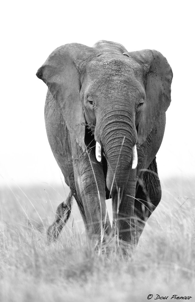 DJP23-8-17B&amp;WWM-2