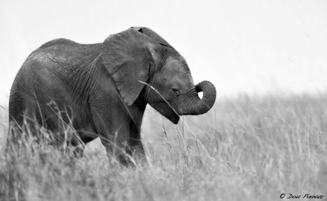 DJP23-8-17B&amp;WWM-3