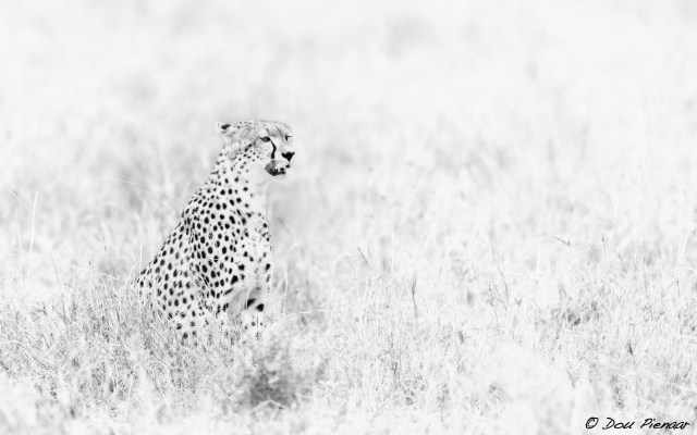 DJP23-8-17B&amp;WWM-4