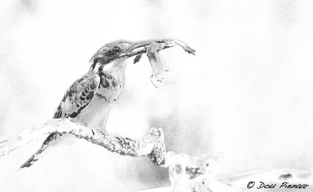 DJP23-8-17B&amp;WWM-6