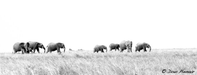 DJP23-8-17B&amp;WWM-8