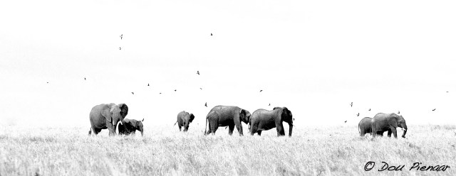 DJP23-8-17B&amp;WWM-9