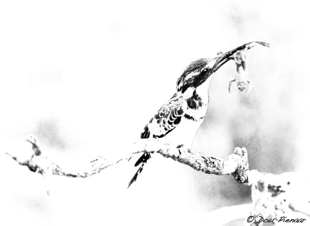 DJP25-8-17B&amp;WWM-2