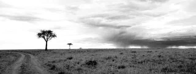 DJP25-8-17B&amp;WWM-7