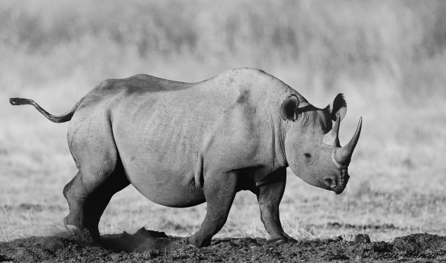 DJP5-9-17B&amp;WWM-1