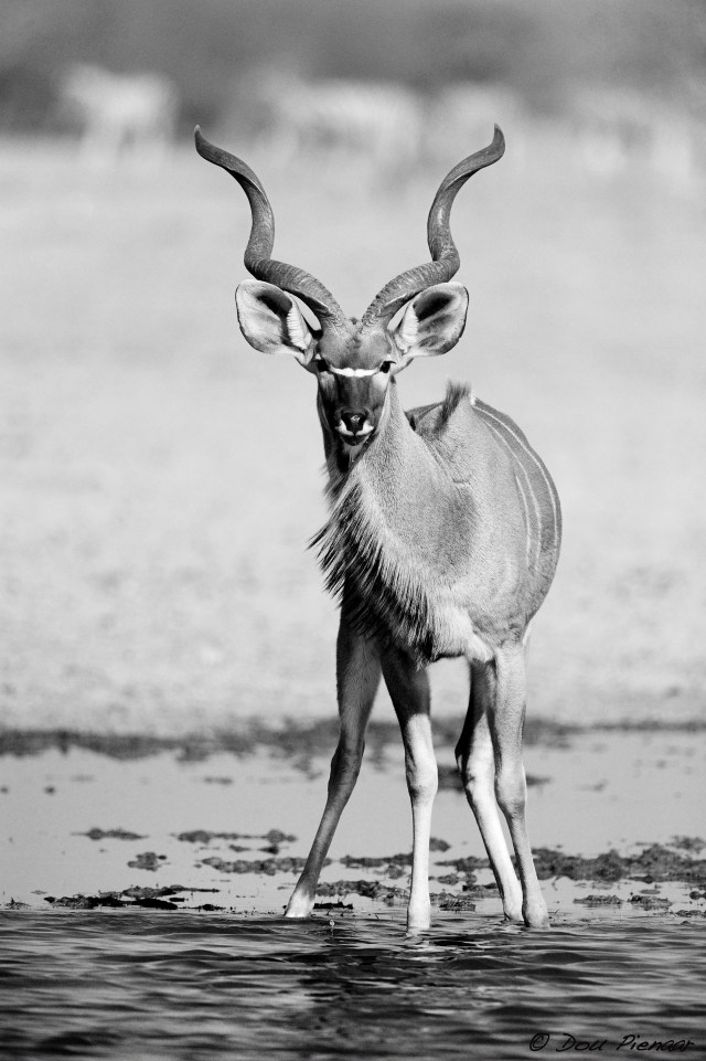 DJP5-9-17B&amp;WWM-2