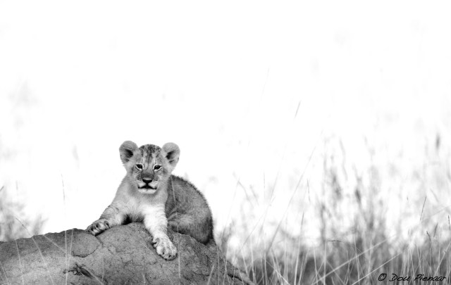 DJP5-9-17B&amp;WWM-3