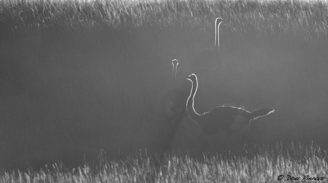 DJP6-9-17B&amp;WWM-3