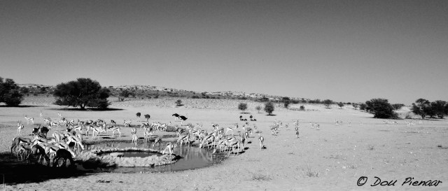 DJP6-9-17B&amp;WWM-7