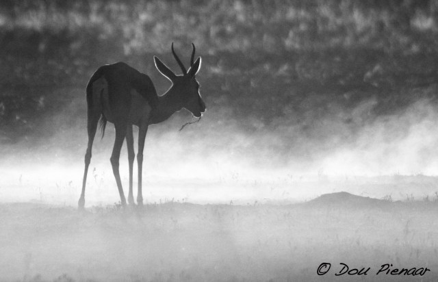 DJP6-9-17B&amp;WWM-8