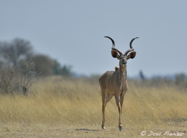 DJP_20170913-124244_Size