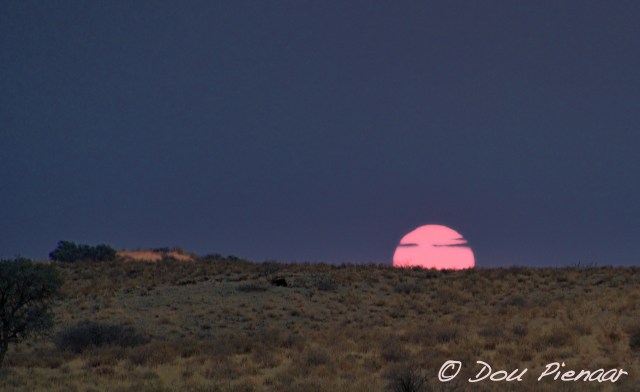 DJPKgal2017D3S_3288WM