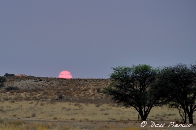 DJPKgal2017D3S_3291WM