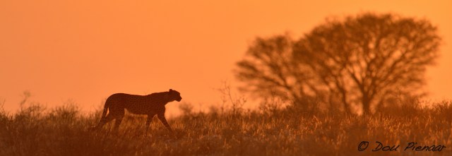 DJPKgal2017DP4_3350WM